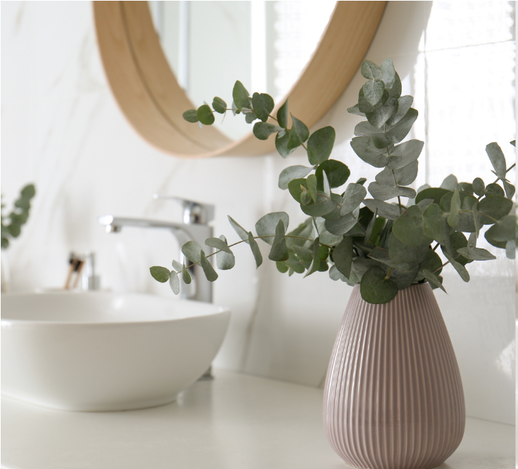 bathroom sink and mirror with vase of eucalyptus leaves